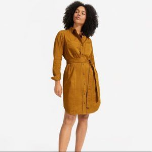 Everlane Modern Utility Dress (Brass)
